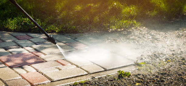 Animal Enclosure Cleaning in Hart, TX
